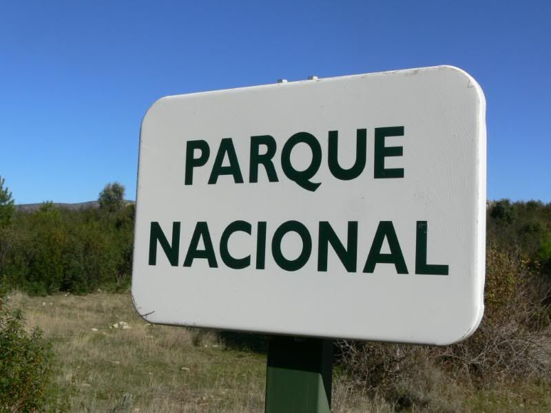 P1130014.jpg