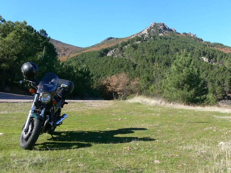 P1130016.jpg