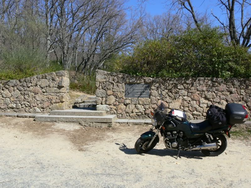 P1130418.jpg