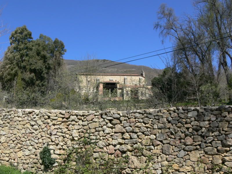 P1130431.jpg