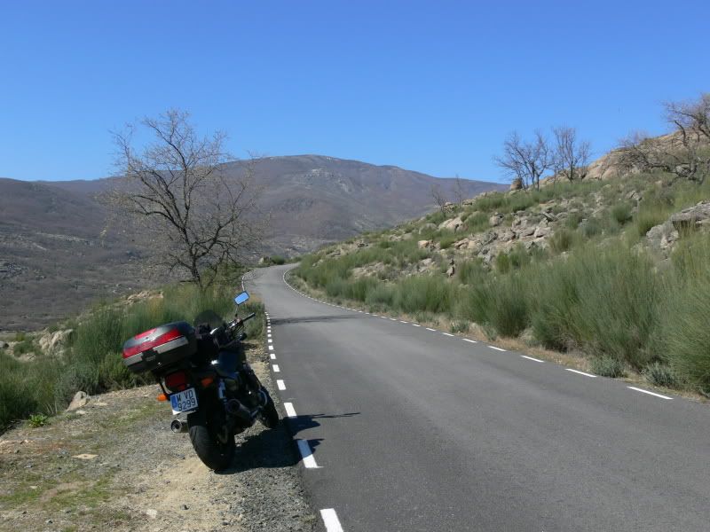 P1130436.jpg