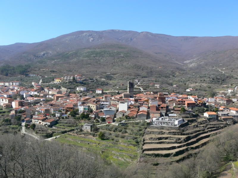 P1130446.jpg