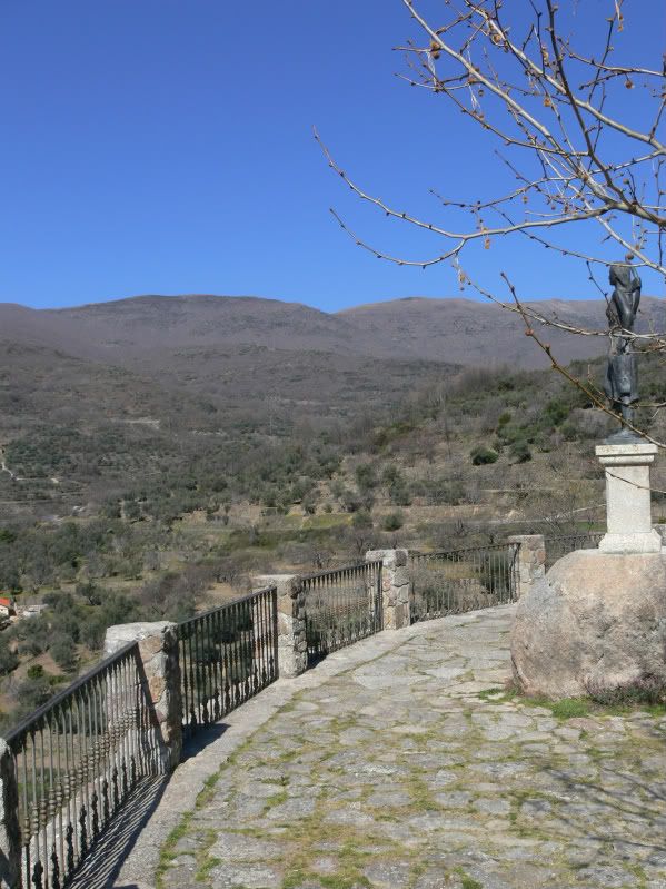 P1130447-1.jpg