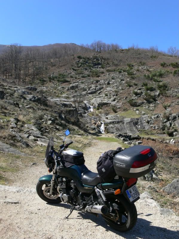 P1130464-1.jpg