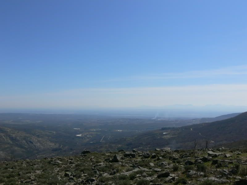 P1130480.jpg