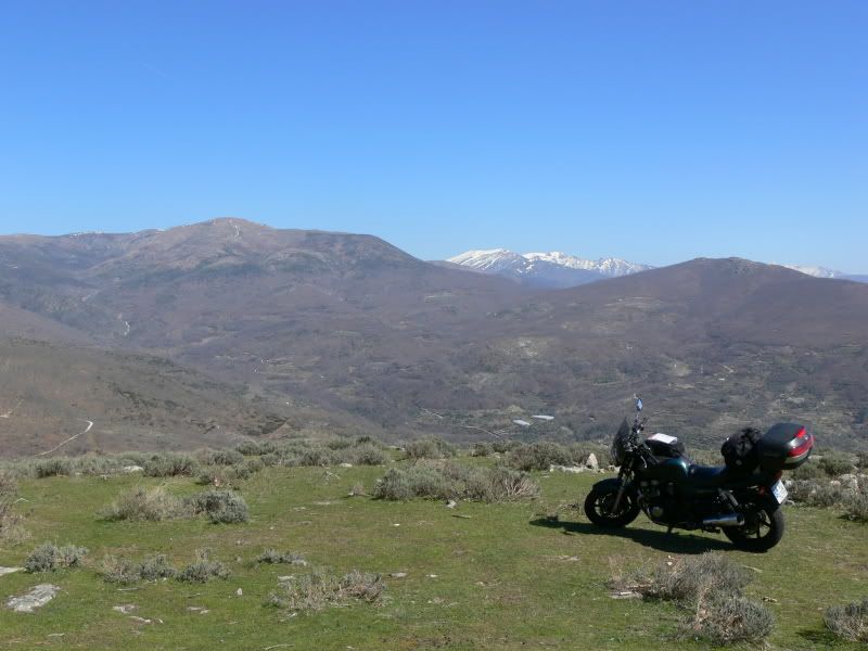 P1130483.jpg