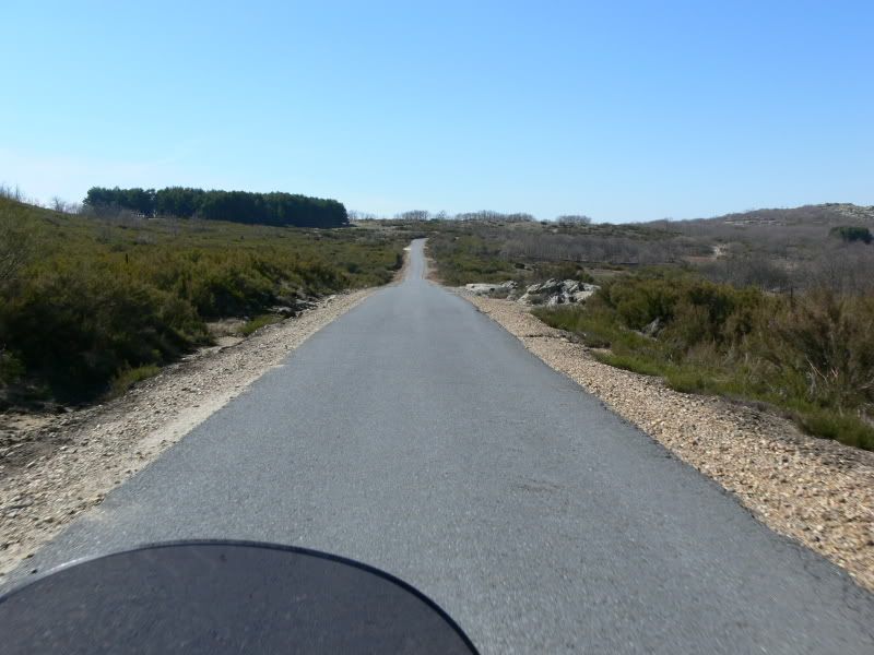 P1130498.jpg