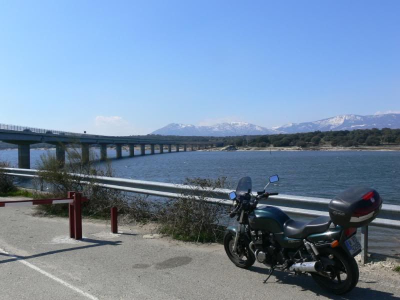 P1180018.jpg