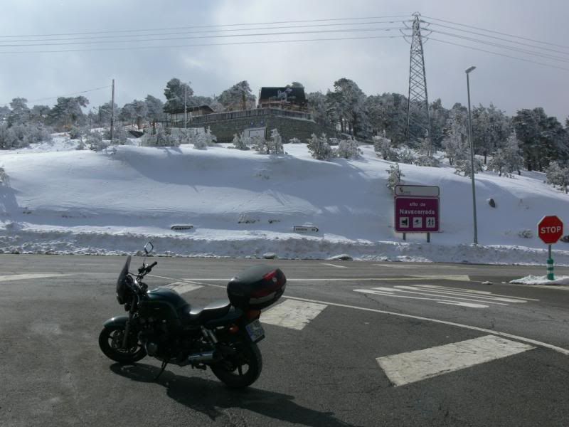 P1180038.jpg