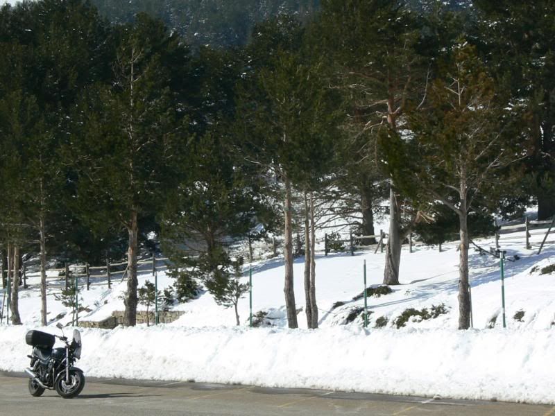 P1180066.jpg