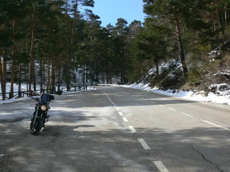 P1180072.jpg