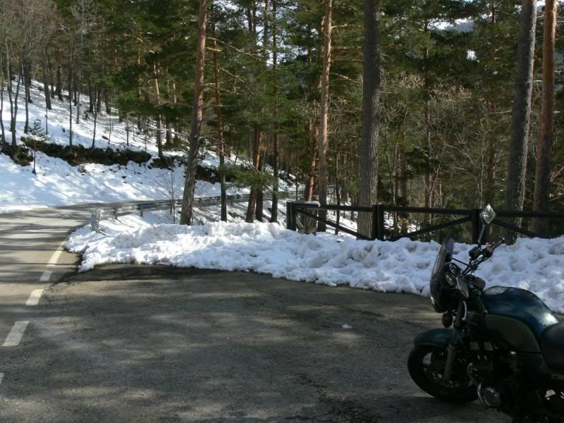 P1180077.jpg