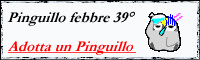 Pinguillofebbre39