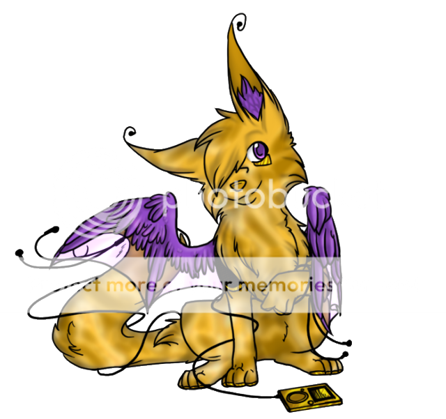 User Image