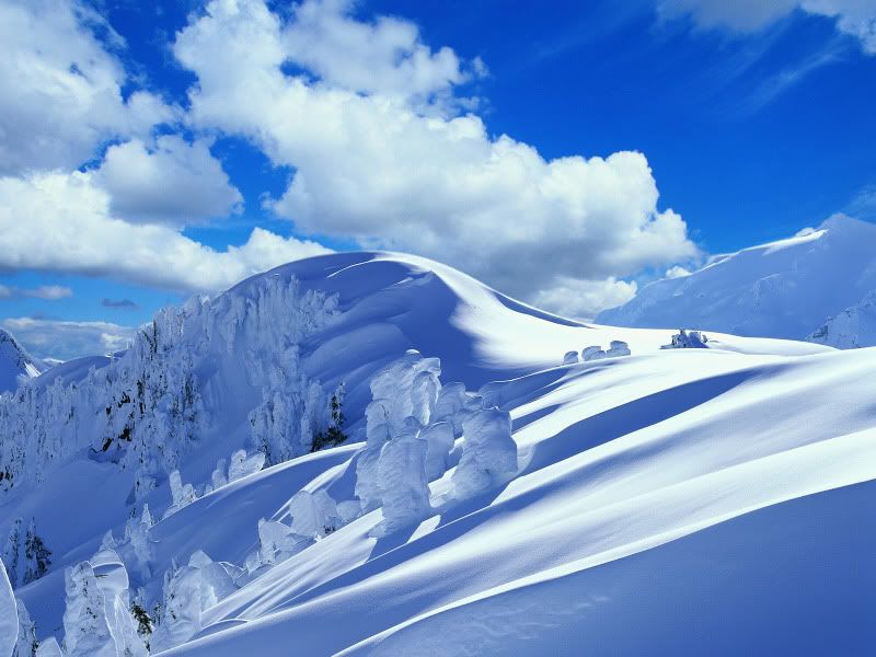 Earth-Winter-46192.jpg