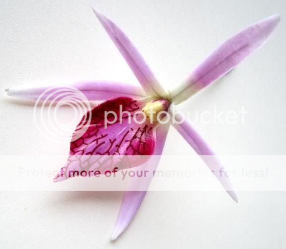 Pink Silk Hawaiian Cymbidium Orchid Artificial Flower Head Lot Home 