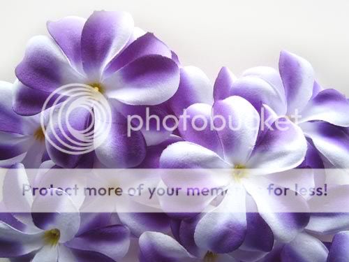 12 Purple Hawaiian Plumeria Frangipani Artificial Silk Flower Head 