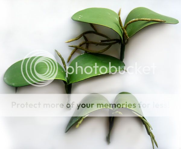   Green Flower Orchid Leaves Decorative Potted plant Arrangement  